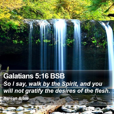 Galatians 5:16 BSB Bible Verse Image