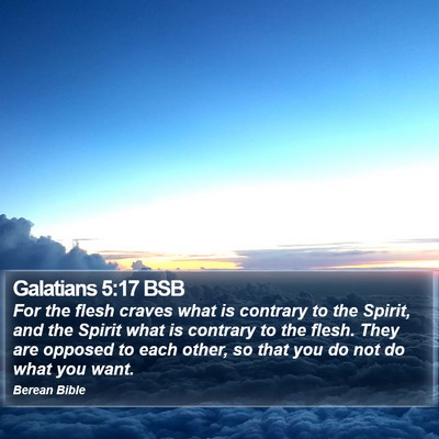 Galatians 5:17 BSB Bible Verse Image