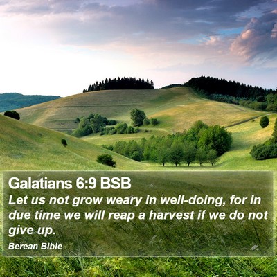 Galatians 6:9 BSB Bible Verse Image