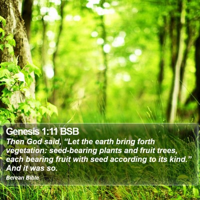 Genesis 1:11 BSB Bible Verse Image