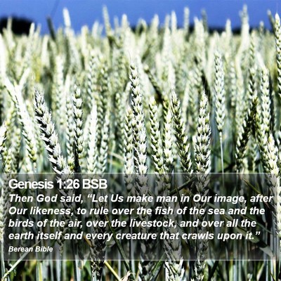Genesis 1:26 BSB Bible Verse Image