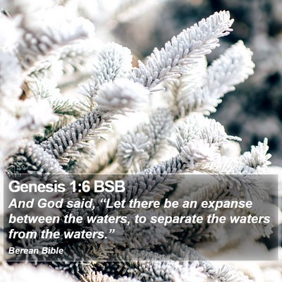 Genesis 1:6 BSB Bible Verse Image