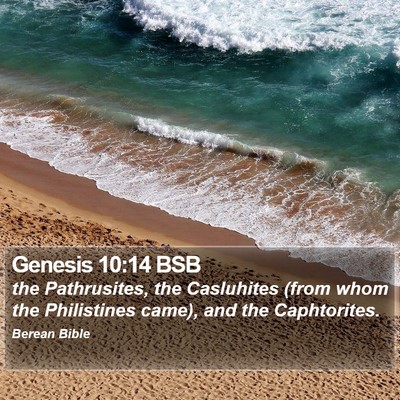 Genesis 10:14 BSB Bible Verse Image