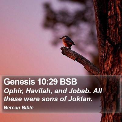 Genesis 10:29 BSB Bible Verse Image
