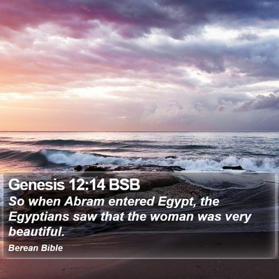 Genesis 12:14 BSB Bible Verse Image