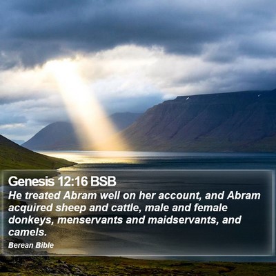 Genesis 12:16 BSB Bible Verse Image