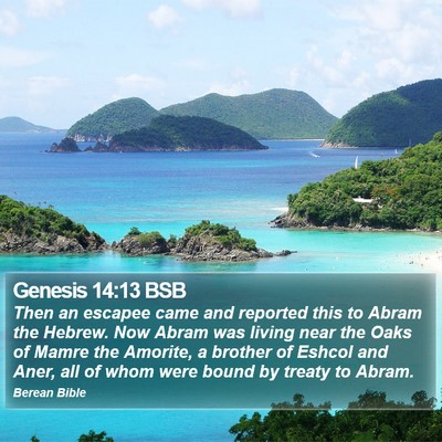 Genesis 14:13 BSB Bible Verse Image