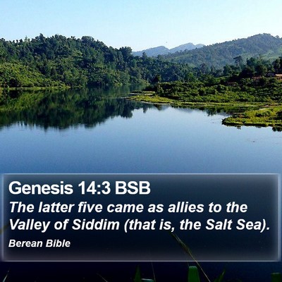 Genesis 14:3 BSB Bible Verse Image