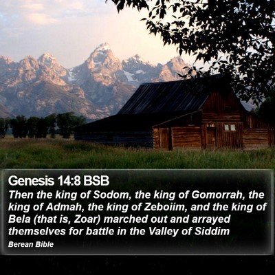 Genesis 14:8 BSB Bible Verse Image
