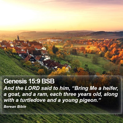 Genesis 15:9 BSB Bible Verse Image