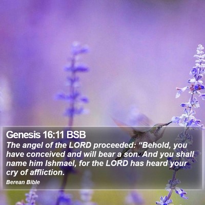 Genesis 16:11 BSB Bible Verse Image