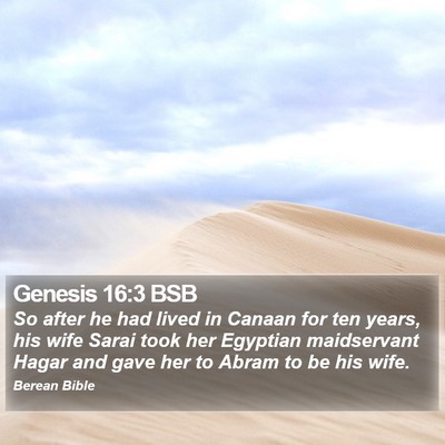 Genesis 16:3 BSB Bible Verse Image