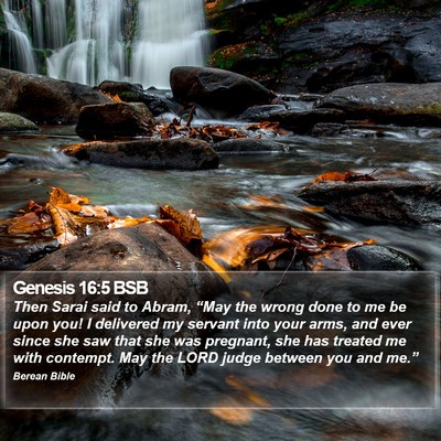 Genesis 16:5 BSB Bible Verse Image