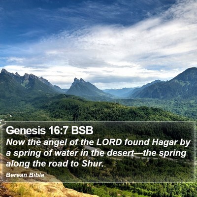 Genesis 16:7 BSB Bible Verse Image