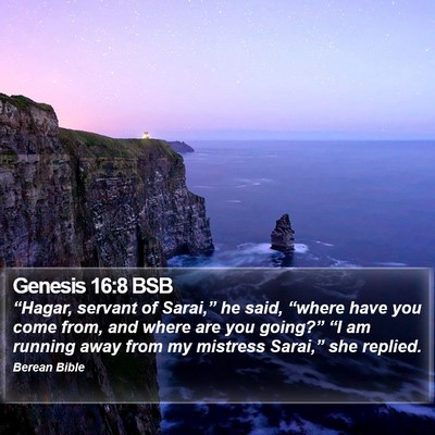 Genesis 16:8 BSB Bible Verse Image