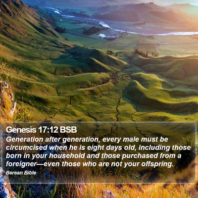 Genesis 17:12 BSB Bible Verse Image