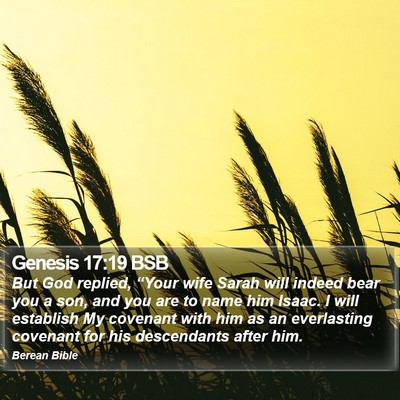 Genesis 17:19 BSB Bible Verse Image