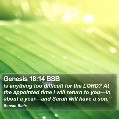 Genesis 18:14 BSB Bible Verse Image