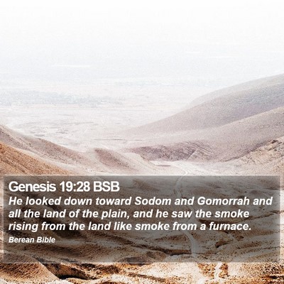 Genesis 19:28 BSB Bible Verse Image