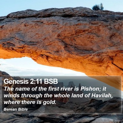 Genesis 2:11 BSB Bible Verse Image