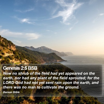 Genesis 2:5 BSB Bible Verse Image