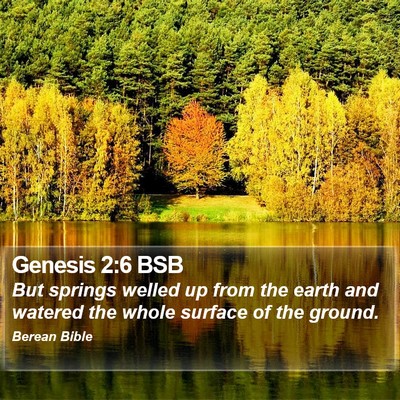 Genesis 2:6 BSB Bible Verse Image