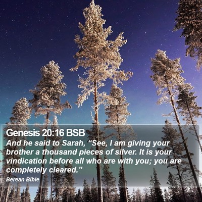 Genesis 20:16 BSB Bible Verse Image