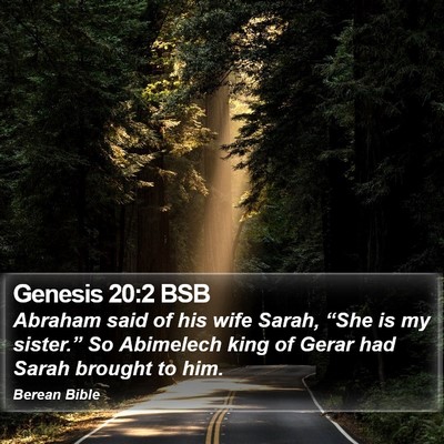 Genesis 20:2 BSB Bible Verse Image