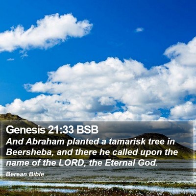 Genesis 21:33 BSB Bible Verse Image