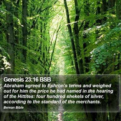 Genesis 23:16 BSB Bible Verse Image
