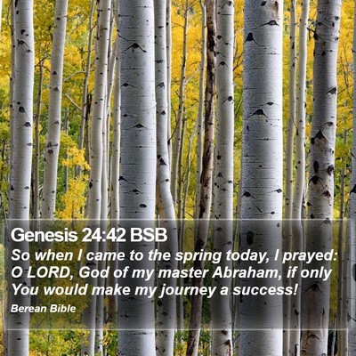 Genesis 24:42 BSB Bible Verse Image