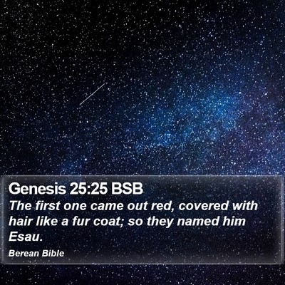 Genesis 25:25 BSB Bible Verse Image
