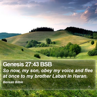 Genesis 27:43 BSB Bible Verse Image