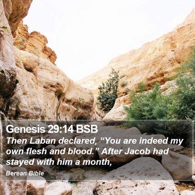 Genesis 29:14 BSB Bible Verse Image