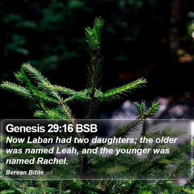 Genesis 29:16 BSB Bible Verse Image