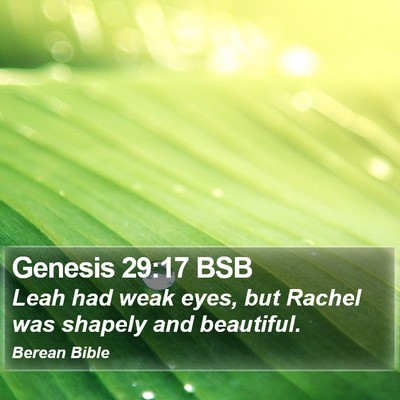 Genesis 29:17 BSB Bible Verse Image