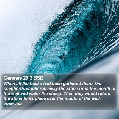 Genesis 29:3 BSB Bible Verse Image