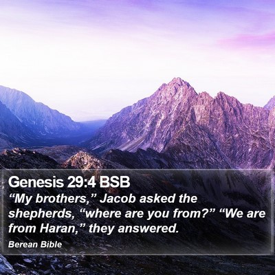 Genesis 29:4 BSB Bible Verse Image