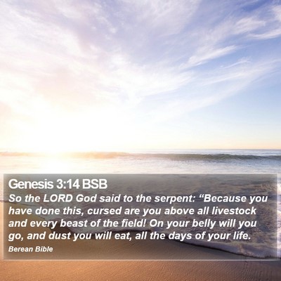 Genesis 3:14 BSB Bible Verse Image