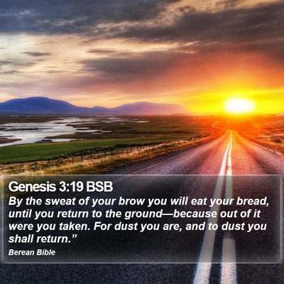 Genesis 3:19 BSB Bible Verse Image