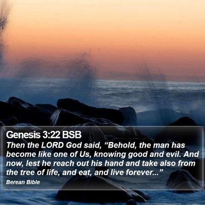 Genesis 3:22 BSB Bible Verse Image