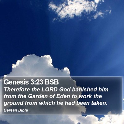 Genesis 3:23 BSB Bible Verse Image