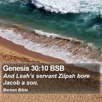 Genesis 30:10 BSB Bible Verse Image