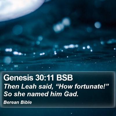 Genesis 30:11 BSB Bible Verse Image