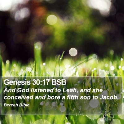 Genesis 30:17 BSB Bible Verse Image