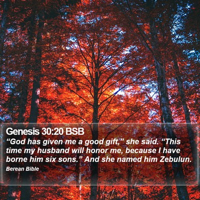 Genesis 30:20 BSB Bible Verse Image