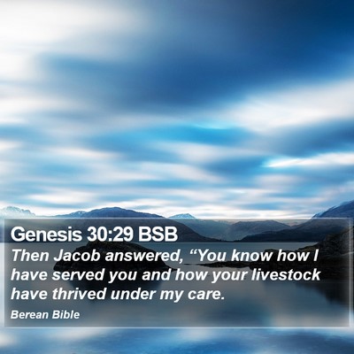 Genesis 30:29 BSB Bible Verse Image