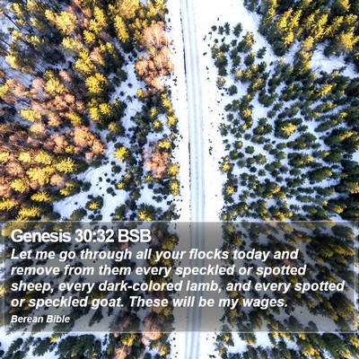 Genesis 30:32 BSB Bible Verse Image