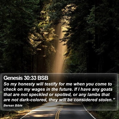 Genesis 30:33 BSB Bible Verse Image