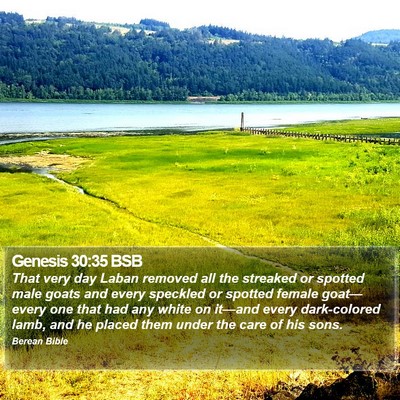 Genesis 30:35 BSB Bible Verse Image